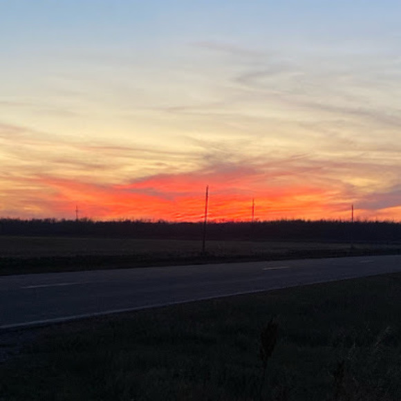 Meet your Posher, Aleigha - Picture 1 of 1